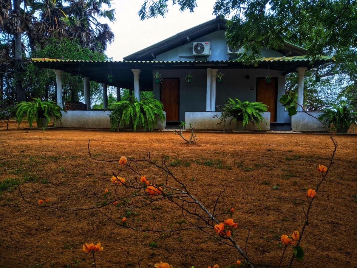 Beach Bungalow Yala Kirinda  Exteriör bild