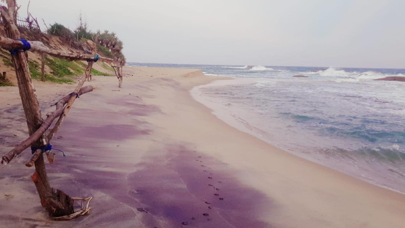 Beach Bungalow Yala Kirinda  Exteriör bild