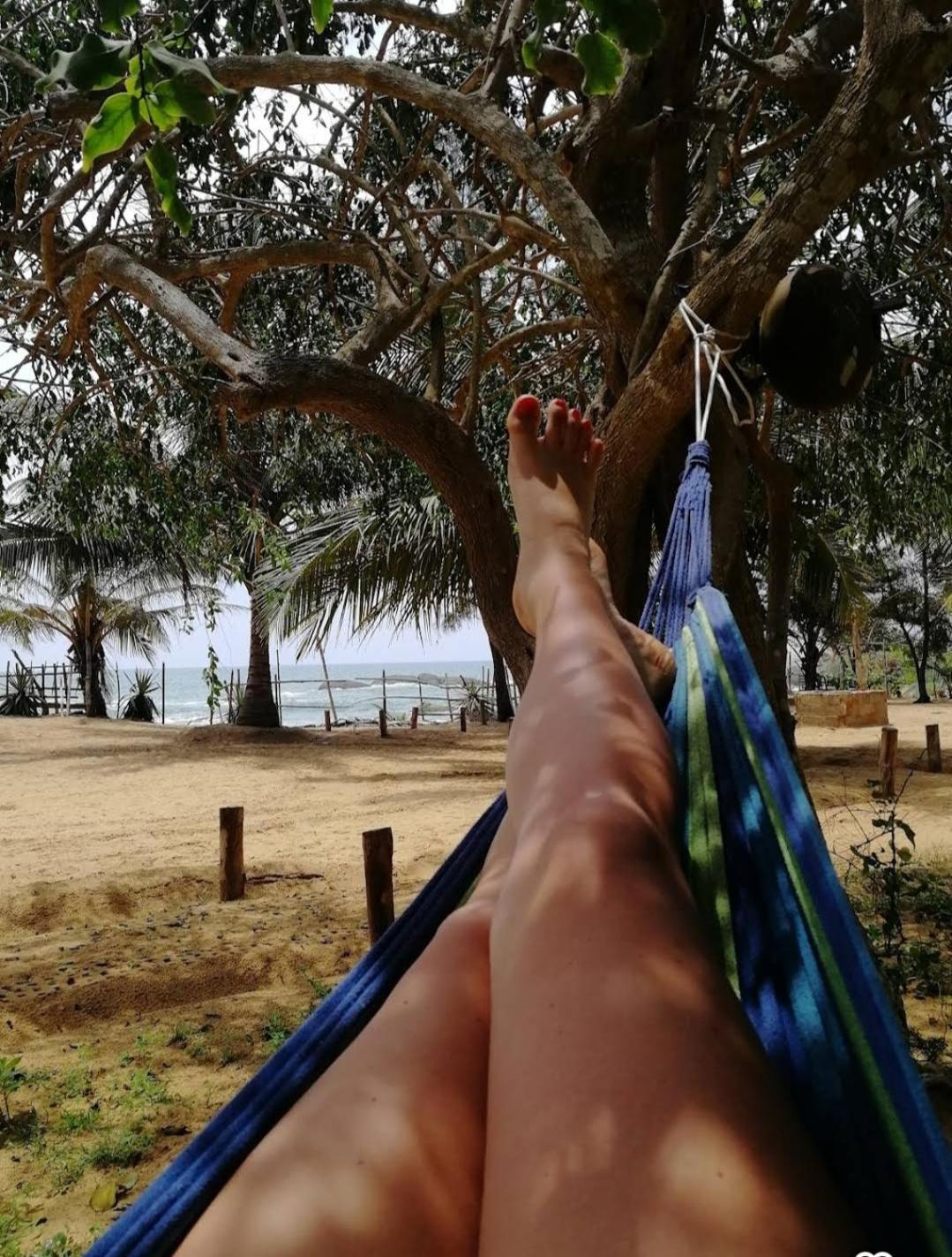 Beach Bungalow Yala Kirinda  Exteriör bild